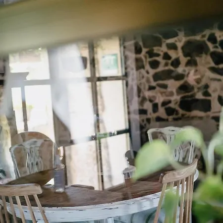 Serra 1786 ياغوستيرا