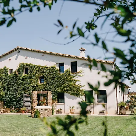 Serra 1786 ياغوستيرا