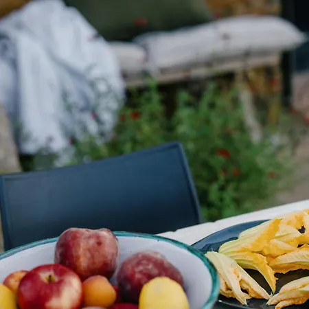 Serra 1786 * ياغوستيرا